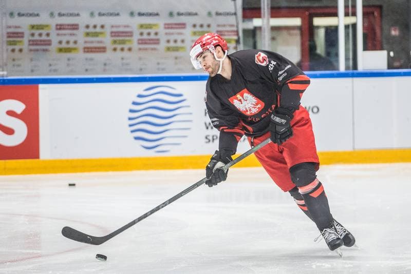 Ice Hockey. Poland national team. Training. 29.04.2022