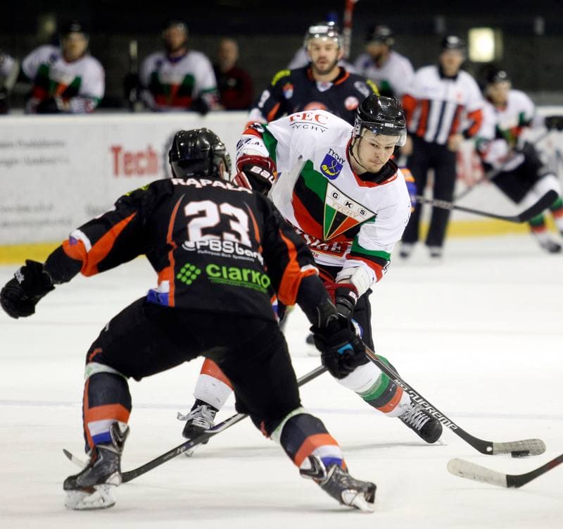 Ice Hockey. Polska Hokej Liga. GKS Tychy - Ciarko KH Sanok. 23.01.2015
