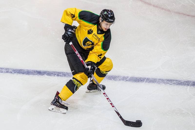 Ice Hockey. Polska Hokej Liga. GKS Katowice - Naprzod Janow. 15.09.2019