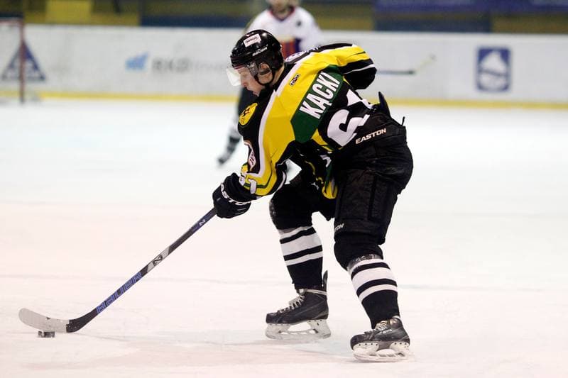 Ice Hockey. Polska Hokej Liga. Tempish Polonia Bytom - JKH GKS Jastrzebie. 20.01.2017