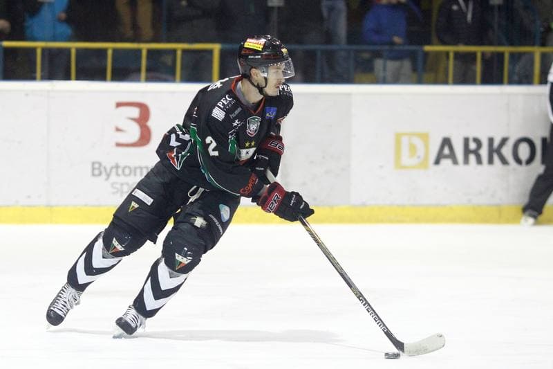 Ice Hockey. Polska Hokej Liga. Tempish Polonia Bytom - GKS Tychy. 15.02.2017