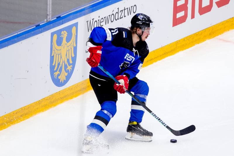 Ice Hockey. World Championship Division 1 Group B. Estonia - Serbia. 30.04.2022
