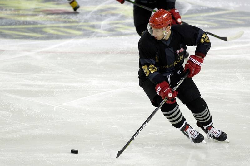 Ice Hockey. Polska Hokej Liga. Anteo Naprzod Janow - Comarch Cracovia Krakow. 19.01.2018