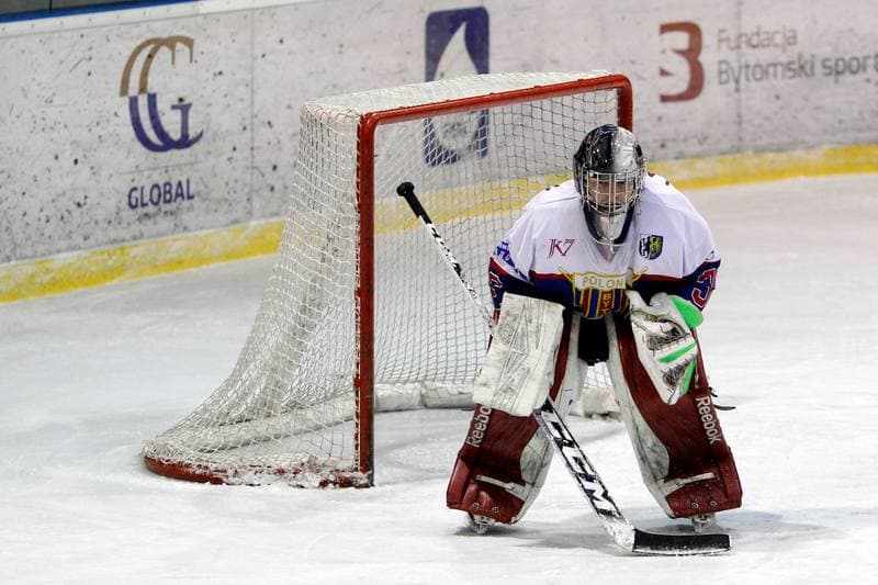 Ice Hockey. Polska Hokej Liga. Polonia Bytom - Automatyka Gdansk. 21.01.2018