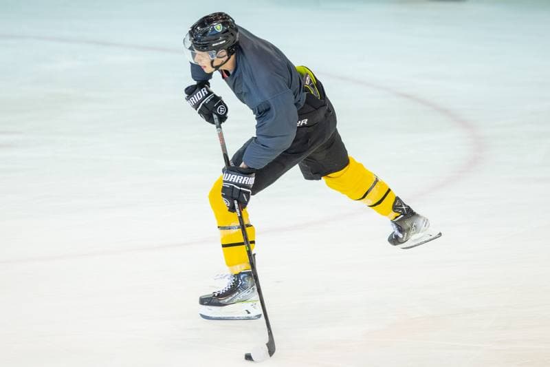 Ice Hockey. GKS Katowice. Training. 01.08.2022