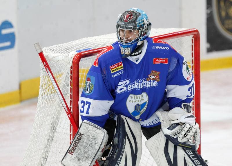 Ice Hockey. Polska Hokej Liga. HC GKS Katowice - Aksam Unia Oswiecim. 10.01.2014