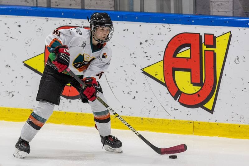 Ice Hockey. PLHK. Kojotki Naprzod Janow - MMKS Podhale Nowy Targ. 12.11.2022