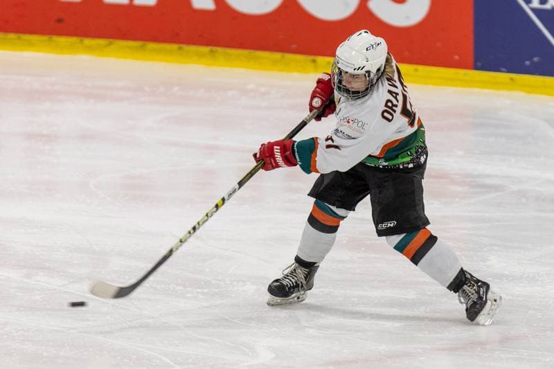 Ice Hockey. PLHK. Kojotki Naprzod Janow - MMKS Podhale Nowy Targ. 12.11.2022