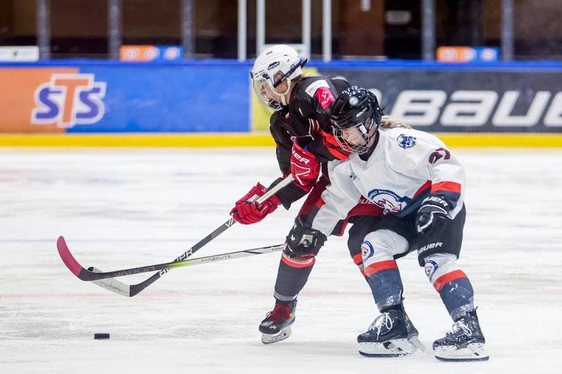 Ice Hockey. EWHL. Tauron Metropolia Silesia - Budapest Jegkorong Akademia. 21.10.2023
