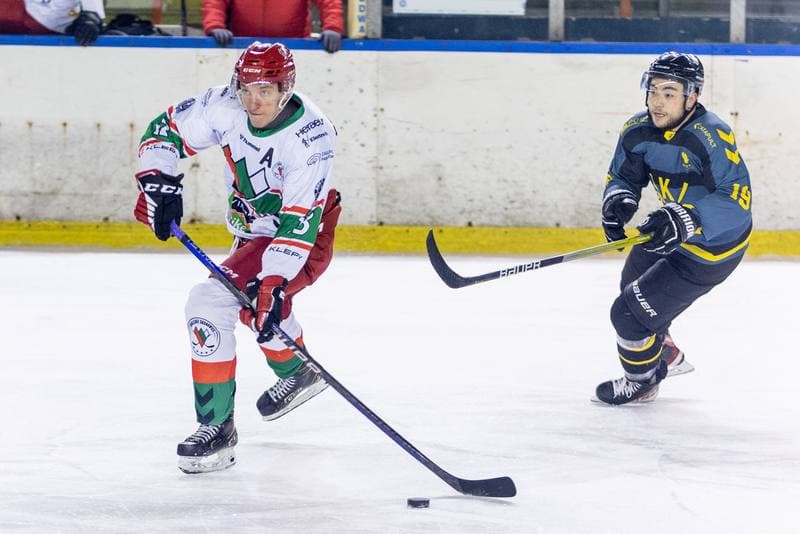 Ice Hockey. PHL. Zaglebie Sosnowiec - GKS Katowice. 08.01.2023