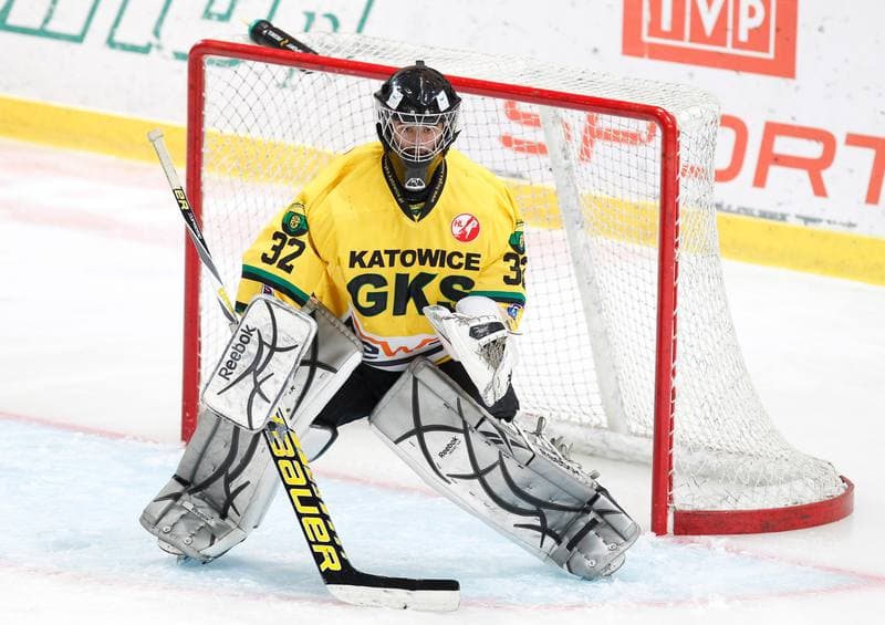 Ice Hockey. Polska Hokej Liga. HC GKS Katowice - Naprzod Janow. 05.12.2014