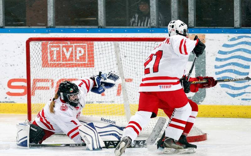 Ice Hockey. U18 Women's World Championship Division I. Poland - Denmark. 25.01.2015