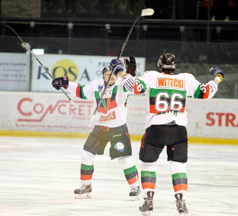 Ice Hockey. Polska Hokej Liga. GKS Tychy - JKH GKS Jastrzebie. 30.11.2014
