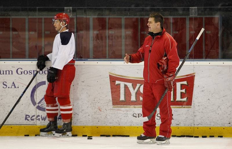 Ice Hockey. Poland national team. Training. 14.04.2015