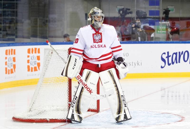 Ice Hockey. IIHF World Championship Division 1A. Poland - Japan. 20.04.2015
