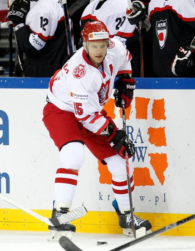 Ice Hockey. IIHF World Championship Division 1A. Poland - Japan. 20.04.2015