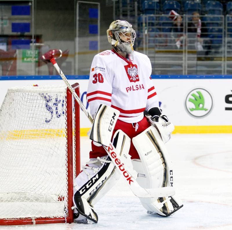 Ice Hockey. IIHF World Championship Division 1A. Poland - Ukraine. 22.04.2015