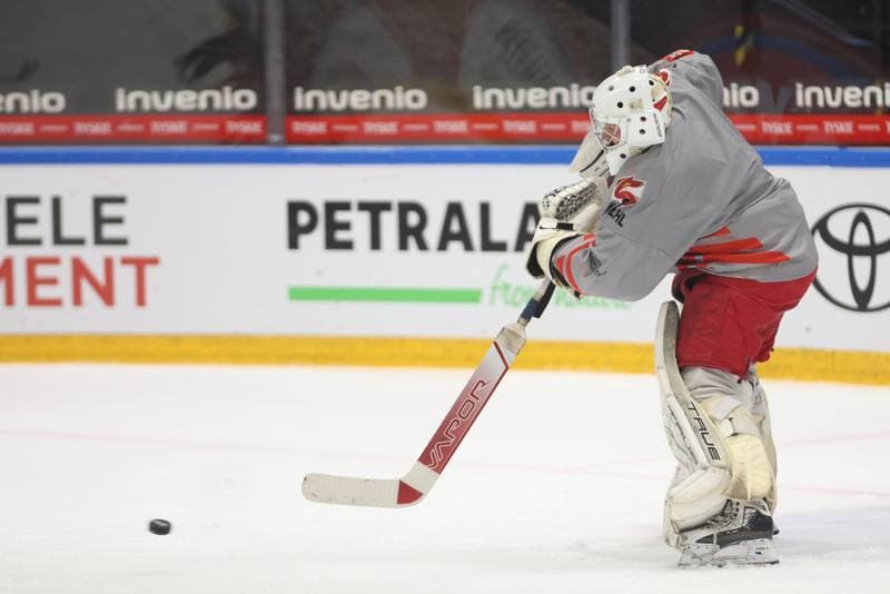 Ice Hockey. Poland national team. Training. 24.04.2023