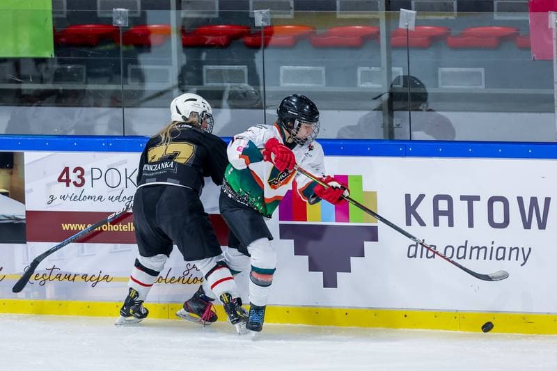 Ice Hockey. Tauron Liga Kobiet. Kojotki Naprzod Janow - KS Cracovia 1906. 17.12.2023