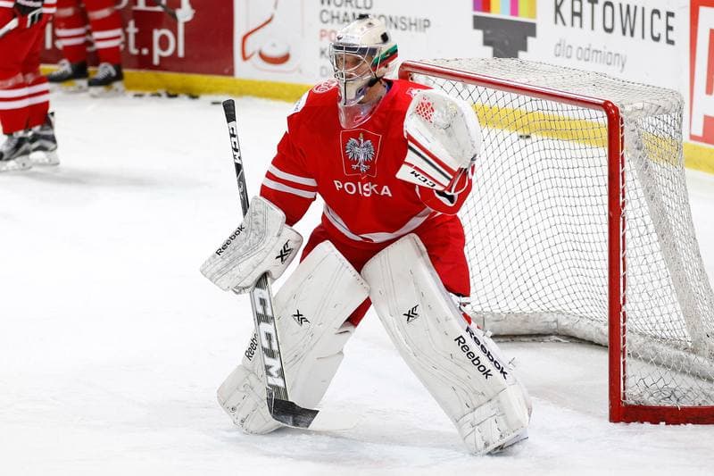 Ice Hockey. EIHC. Kazakhstan - France. 17.12.2015
