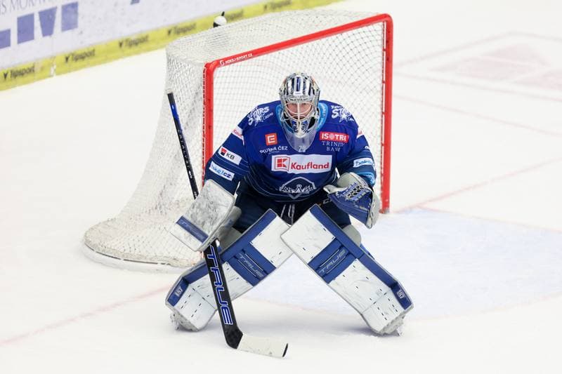 Ice Hockey. Tipsport Extraliga. Ocelari Trinec - Rytri Kladno. 31.01.2024