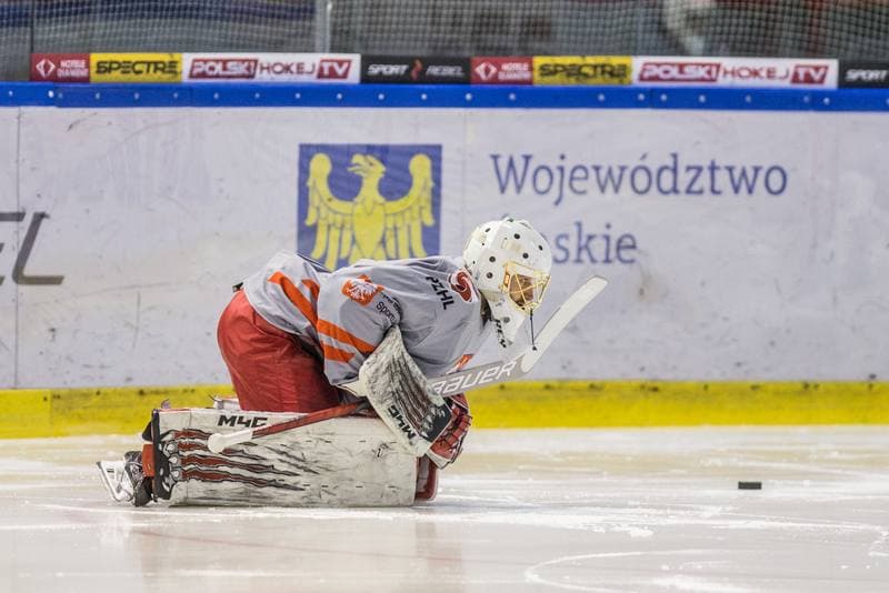 Ice Hockey. Poland national team. Training. 13.04.2021
