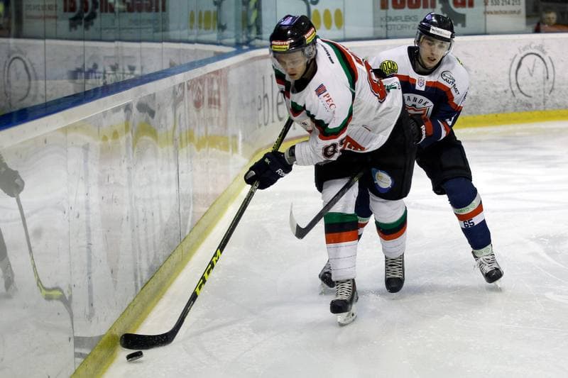 Ice Hockey. Polska Hokej Liga. GKS Tychy - Ciarko STS Sanok. 15.01.2016