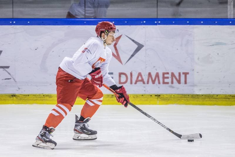 Ice Hockey. Poland national team. Training. 15.04.2021