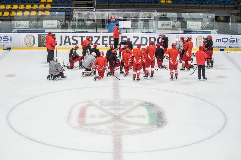 Ice Hockey. Poland national team. Training. 02.05.2021