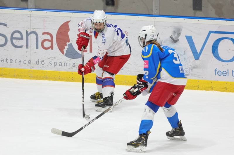 Ice Hockey. Tauron Liga Hokeja Kobiet. Polonia Bytom - UKKH Unia Oswiecim. 24.02.2024