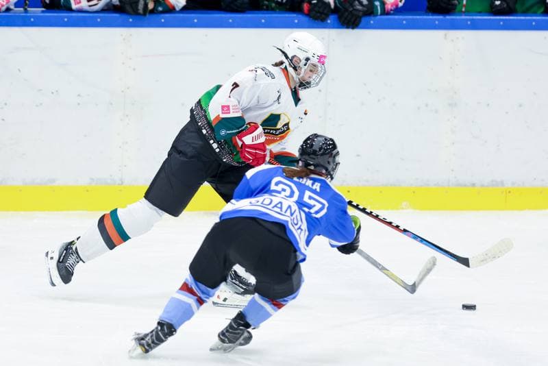 Ice Hockey. Tauron Liga. Kojotki Naprzod Janow - Stoczniowiec Gdansk. 24.02.2024