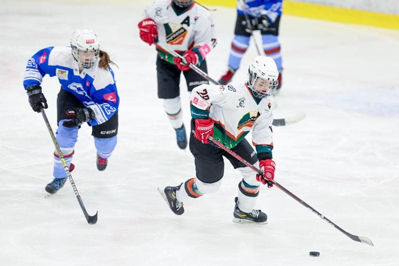 Ice Hockey. Tauron Liga. Kojotki Naprzod Janow - Stoczniowiec Gdansk. 24.02.2024