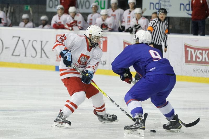 Ice Hockey. Friendly Match. Poland U20 - France U20. 06.08.2016