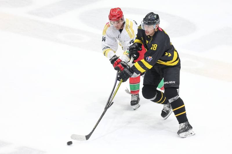 Ice Hockey. Tauron Hokej Liga. Zaglebie Sosnowiec - GKS Katowice. 06.03.2024