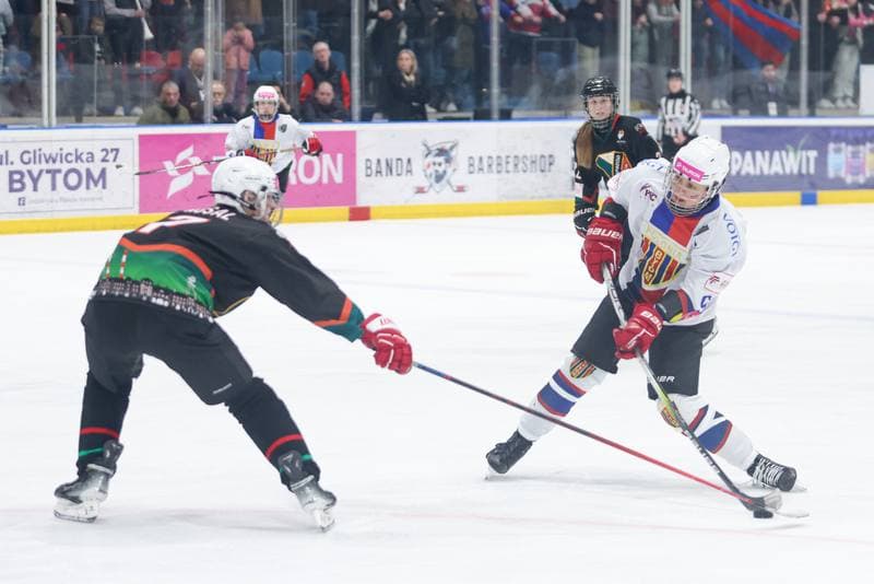 Ice Hockey. Tauron Liga Hokeja Kobiet. BS Polonia Bytom - Kojotki Naprzod Janow. 16.03.2024