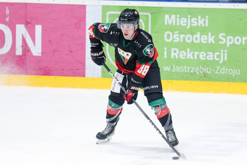 Ice Hockey. Tauron Hokej Liga. JKH GKS Jastrzebie - GKS Tychy. 04.04.2024