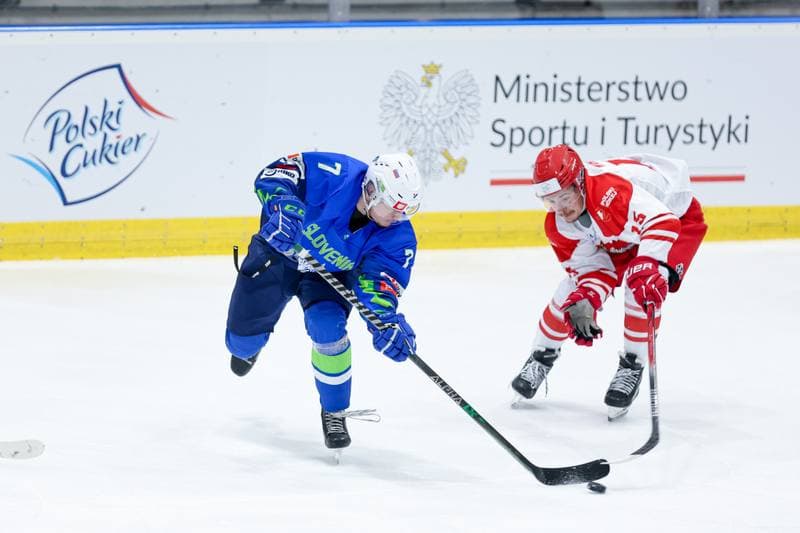 Ice Hockey. Friendly Match. Poland - Slovenia. 18.04.2024