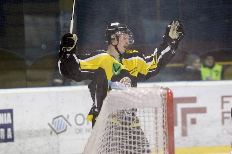 Ice Hockey. Polska Hokej Liga. Tempish Polonia Bytom - JKH GKS Jastrzebie. 20.01.2017