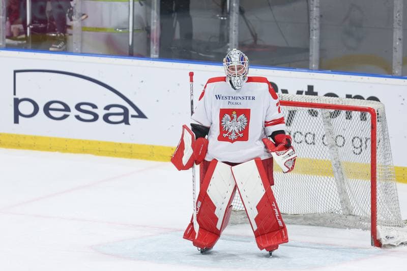 Ice Hockey. Friendly Match. Poland - Slovenia. 18.04.2024