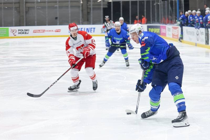 Ice Hockey. Friendly Match. Poland - Slovenia. 19.04.2024