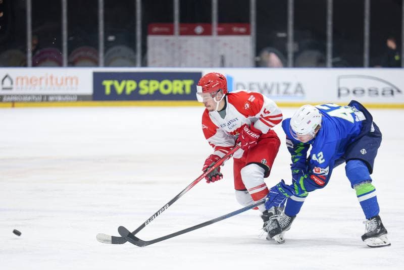 Ice Hockey. Friendly Match. Poland - Slovenia. 19.04.2024