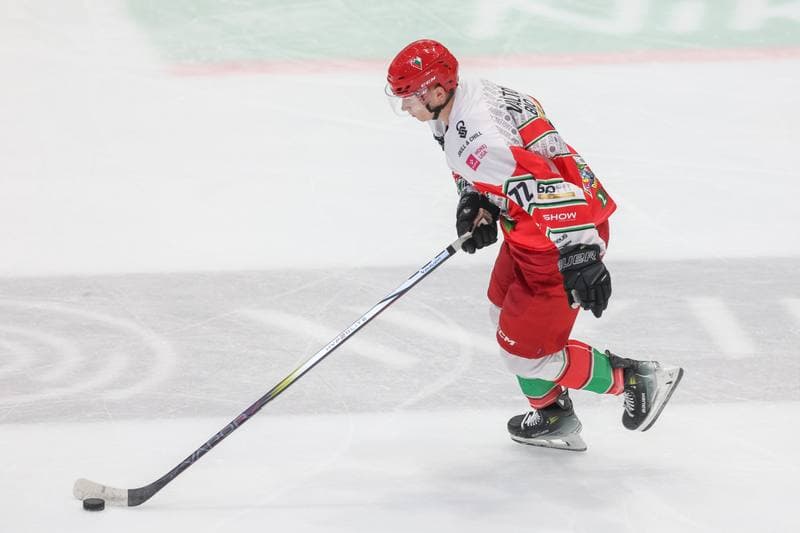 Ice Hockey. Tauron Hokej Liga. Zaglebie Sosnowiec - Comarch Cracovia. 19.11.2023