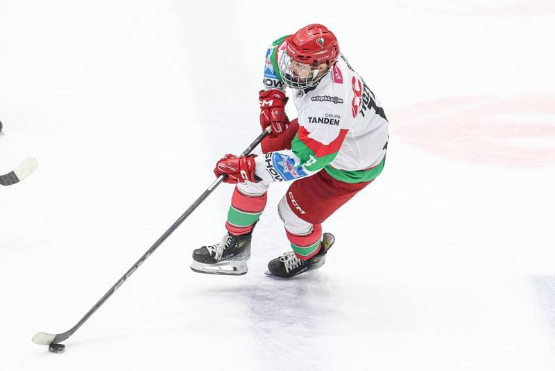 Ice Hockey. Tauron Hokej Liga. EC Bedzin Zaglebie Sosnowiec - GKS Katowice. 01.12.2024