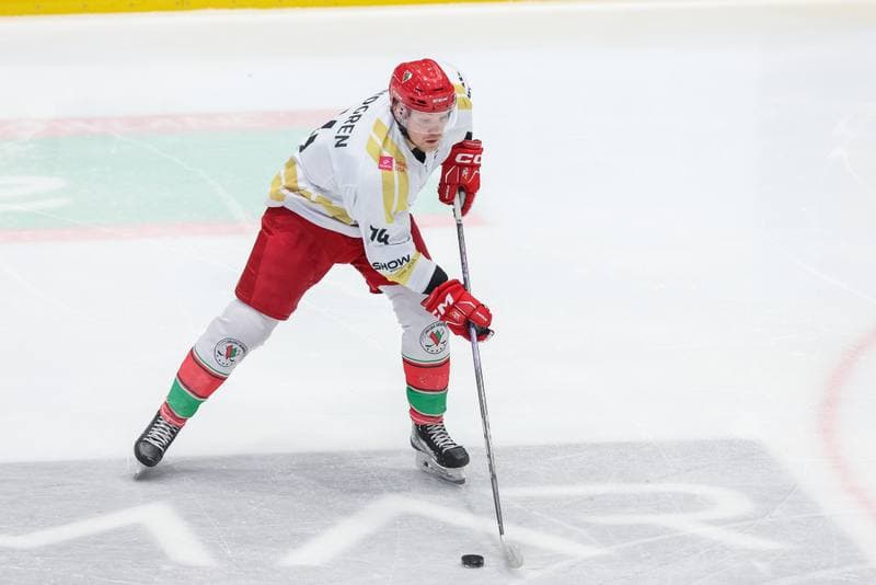 Ice Hockey. Tauron Hokej Liga. Zaglebie Sosnowiec - GKS Tychy. 20.12.2023
