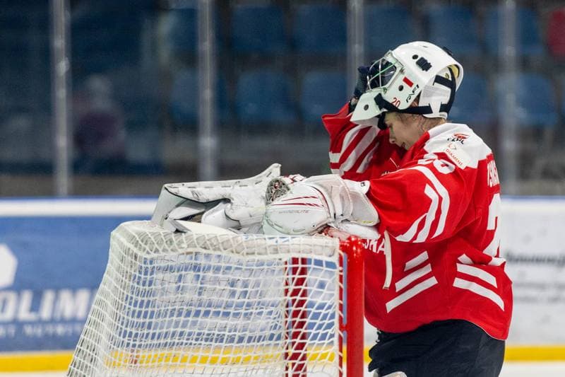 Ice Hockey. EWHL. Orlice Bytom - SKP Bratislava. 20.11.2022