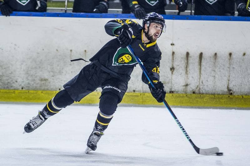 Ice Hockey. PHL. Zaglebie Sosnowiec - GKS Katowice. 25.01.2022