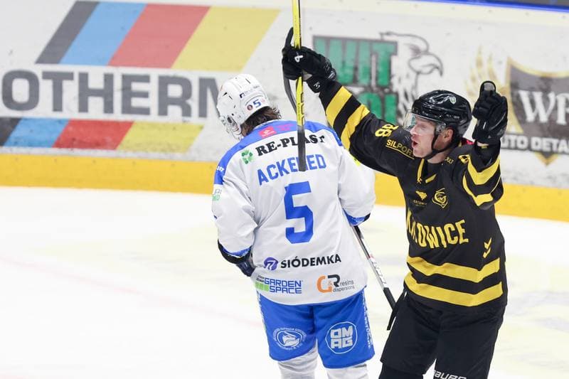 Ice Hockey. Tauron Hokej Liga. Re-Plast Unia Oswiecim - GKS Katowice. 01.02.2024