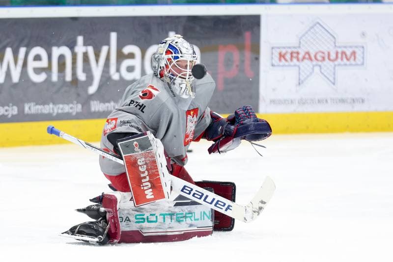 Ice Hockey. Poland national team. Training. 03.02.2024
