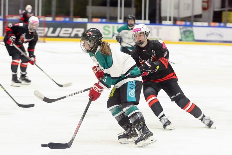 Ice Hockey. EWHL. Tauron Metropolia Silesia - KEHV Lakers. 03.02.2024