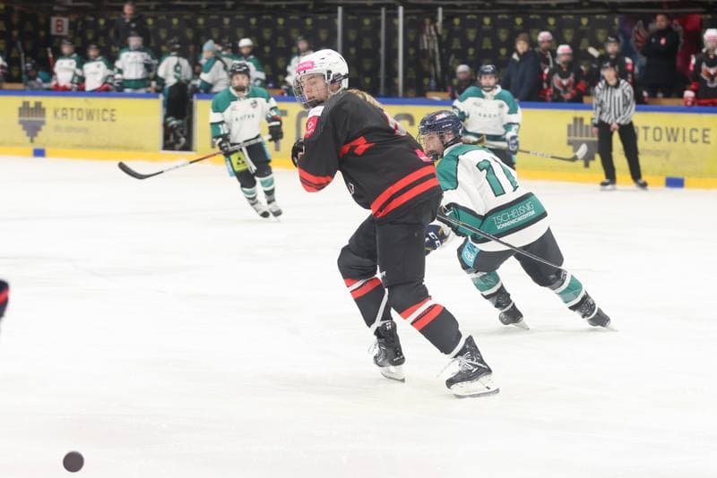 Ice Hockey. EWHL. Tauron Metropolia Silesia - KEHV Lakers. 04.02.2024